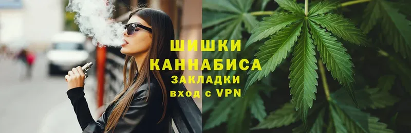 как найти   Коряжма  Канабис сатива 